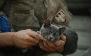 Десантники показали пухнастиків, які допомагають на фронті