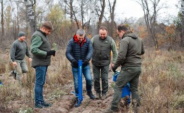 На Полтавщині висаджують нові ліси — ще понад пів тисячі гектарів цієї осені