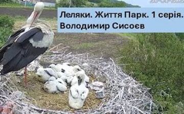 Про Грицика й Одарку з Леляків створили документальний фільм