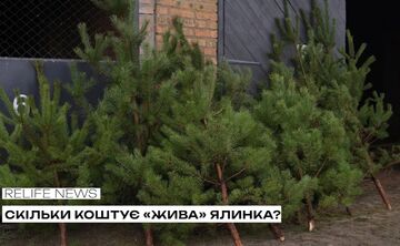 Скільки коштує «жива» ялинка?