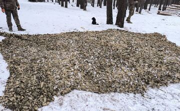 Решетилівці не припиняють передавати на фронт маскування