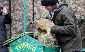 Харківський бабак Тимко IV прокинувся і дав прогноз на весну