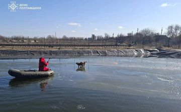 У Семенівській громаді рятувальники зняли з крижини двох собак