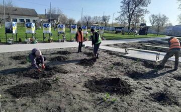 Покровські комунальники висадили троянди на Алеях Слави