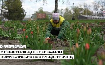 У Решетилівці не пережили зиму близько 300 кущів троянд