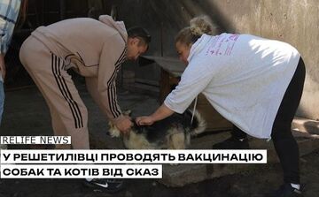У Решетилівці проводять вакцинацію собак та котів від сказу