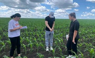 Агроскаути Решетилівського аграрного ліцею провели польове обстеження посівів