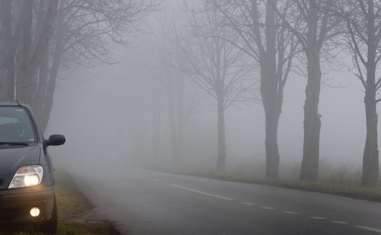 Обережно на дорогах — на Полтавщині прогнозують туман