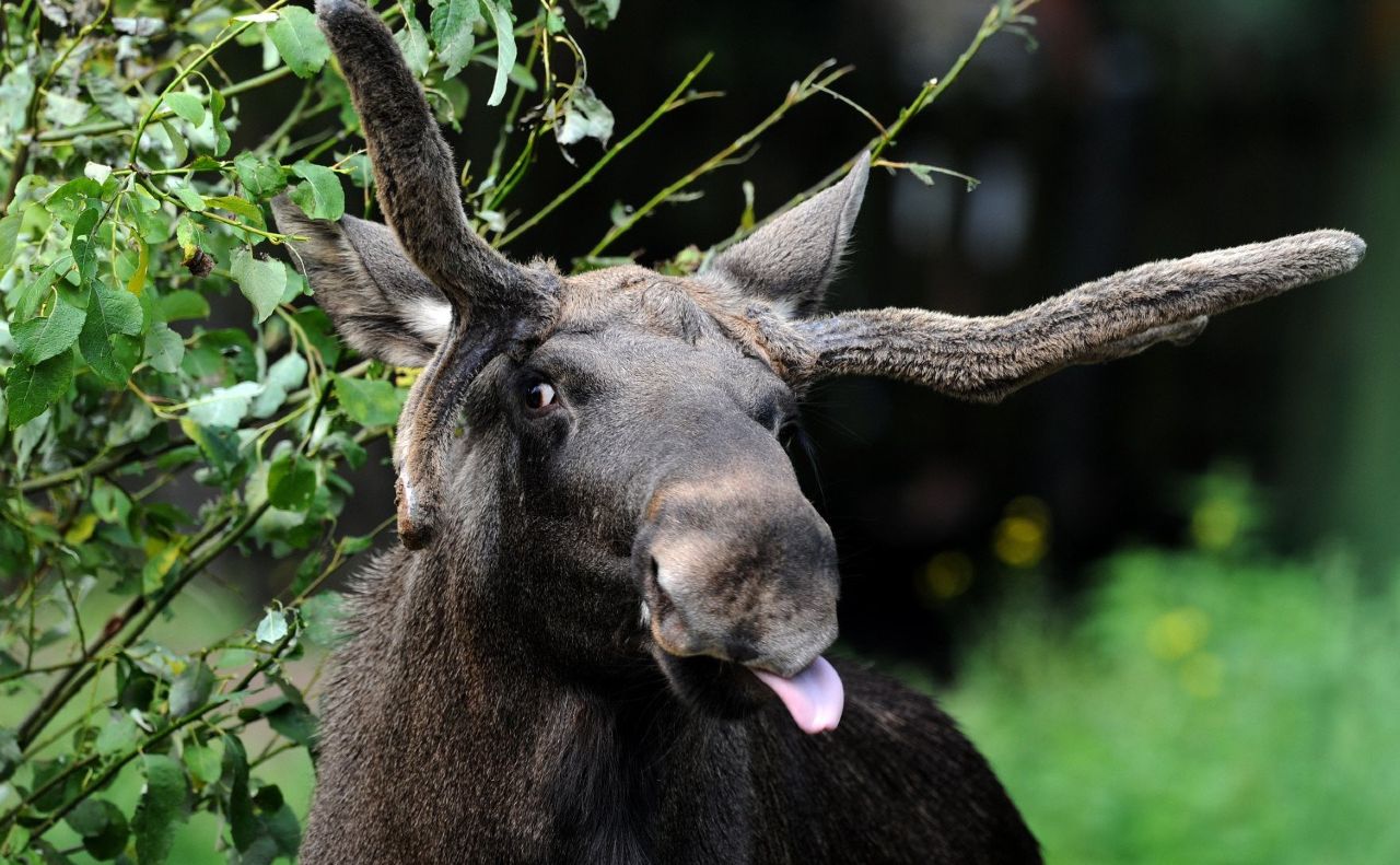 Добрий вечір!)