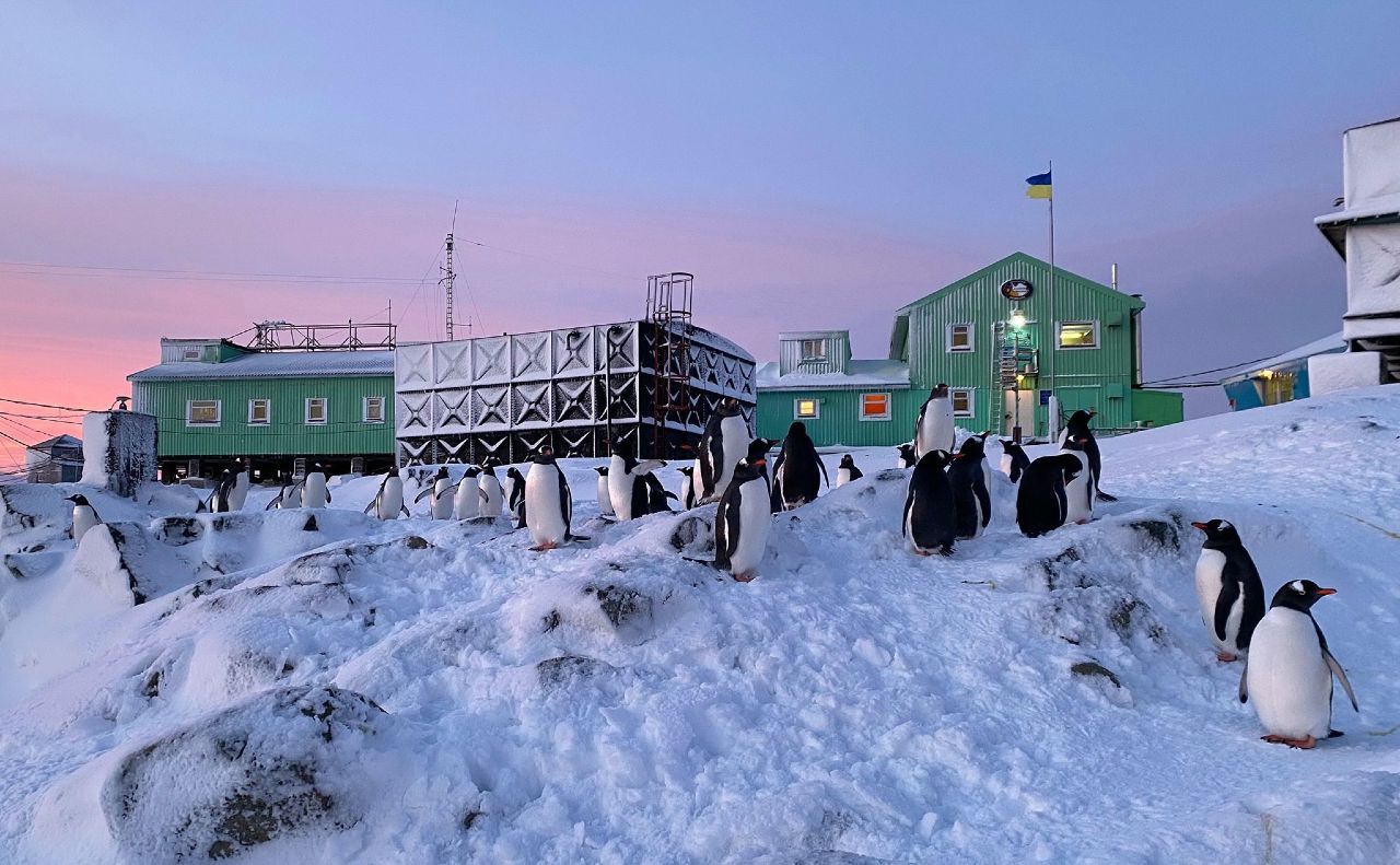 Якою буде нова українська експедиція в Антарктику?