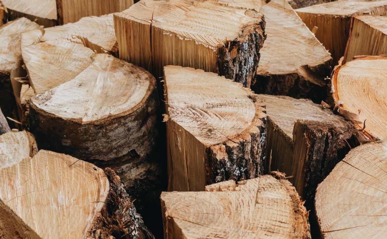 Лісівники Полтавщини та Харківщини передали понад 17 000 кубометрів деревини для потреб ЗСУ