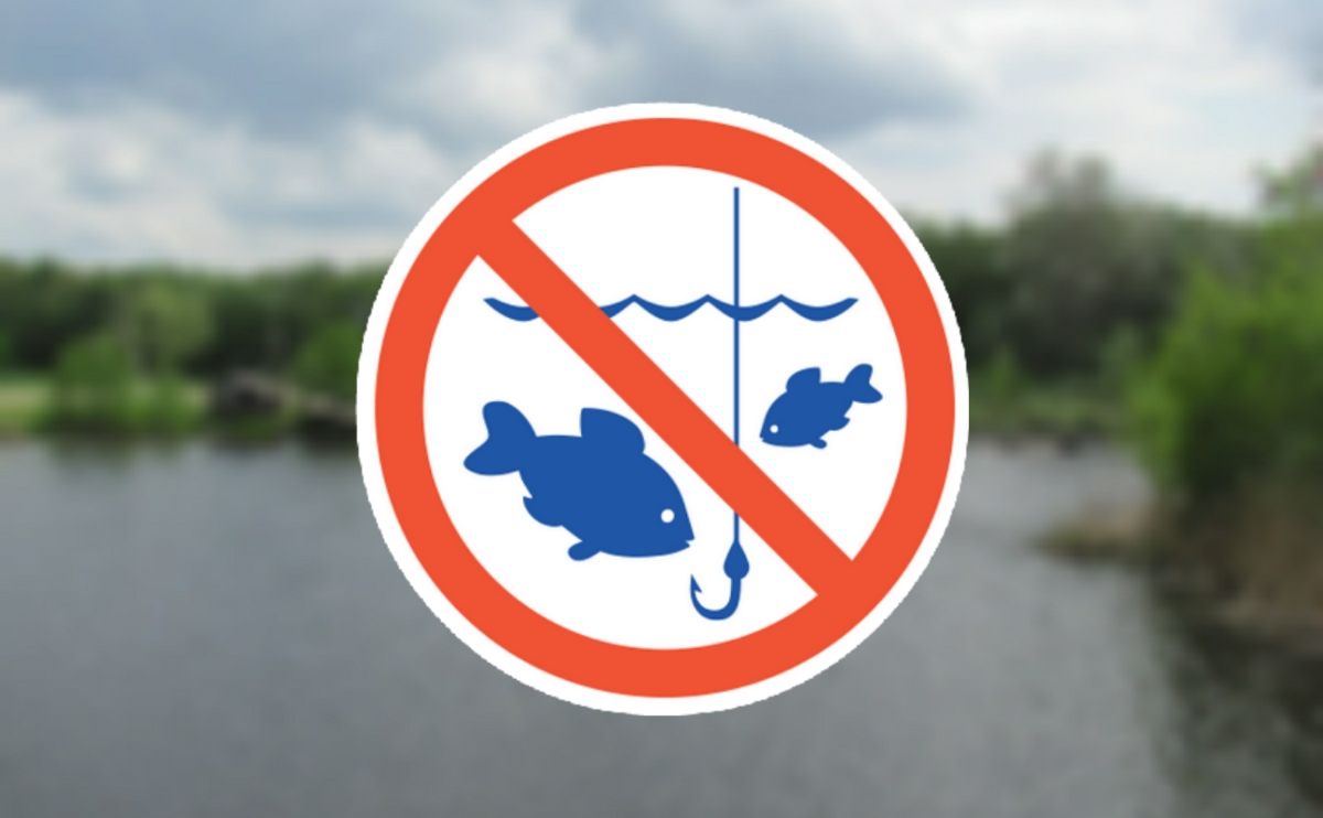 Де і скільки на Полтавщині діятиме заборона на вилов риби?