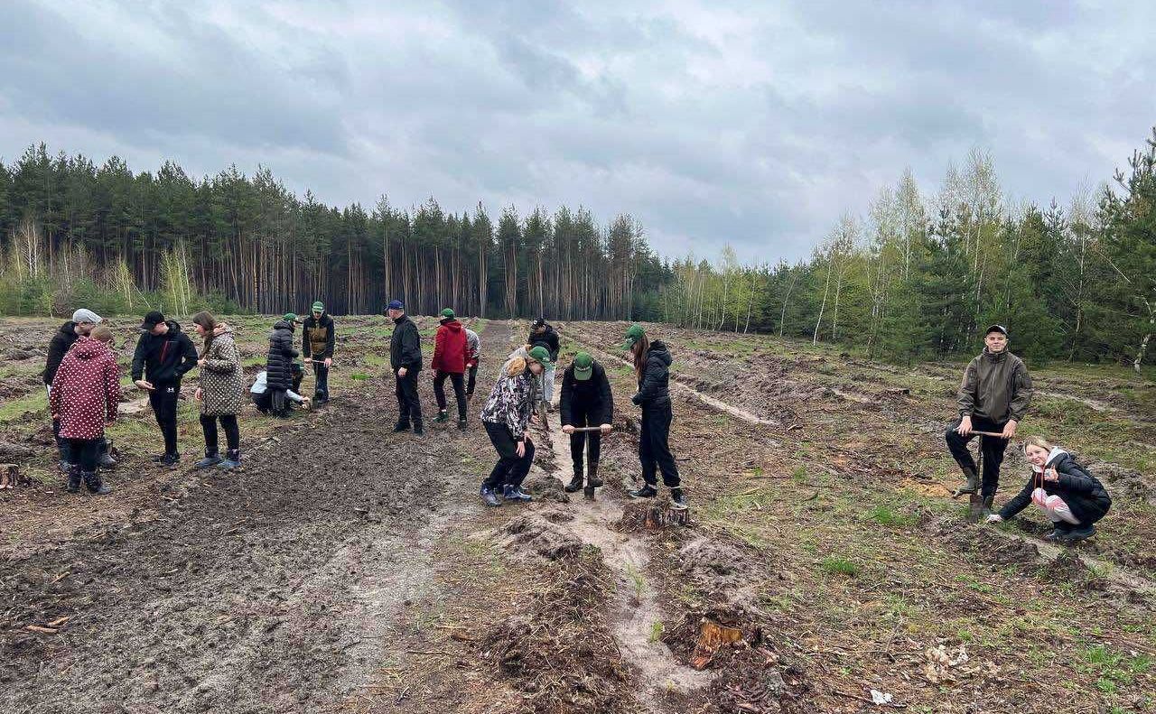 Учні Решетилівського ліцею висадили 250 саджанців дерев