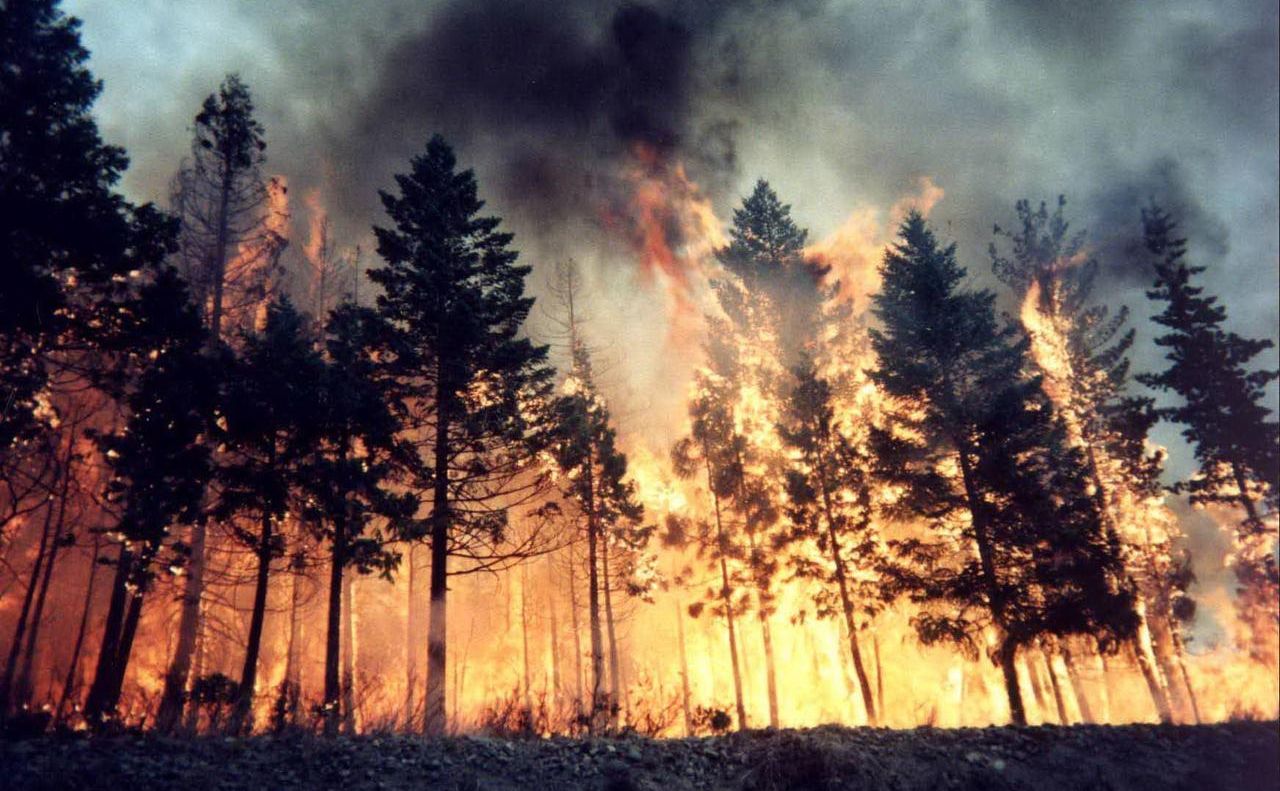 На три дні на Полтавщині оголосили надзвичайний рівень пожежної небезпеки