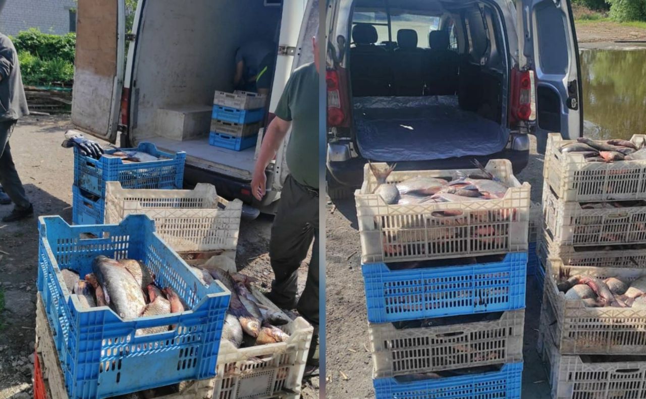 У Кременчуцькому районі чоловік незаконно перевозив понад 400 кг риби без документів