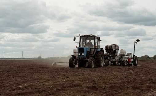 Полтавські аграрії сіють найбільше ярих зернових в Україні