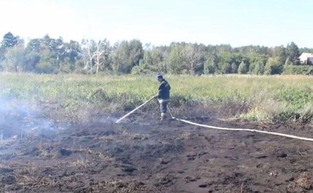 Рятувальники третій день гасять торф’яну пожежу