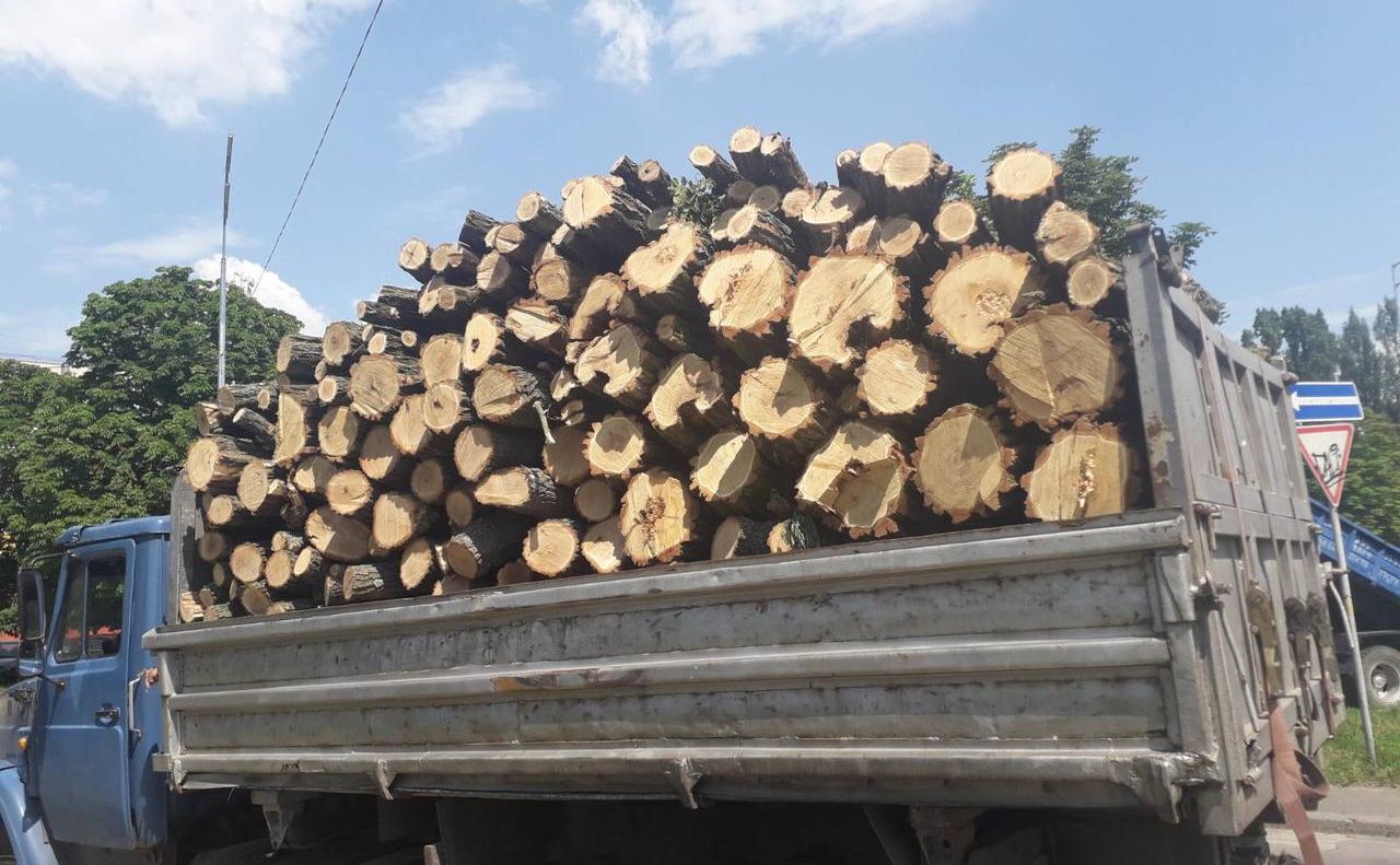 Лісівники радять купувати дрова на зиму з літа