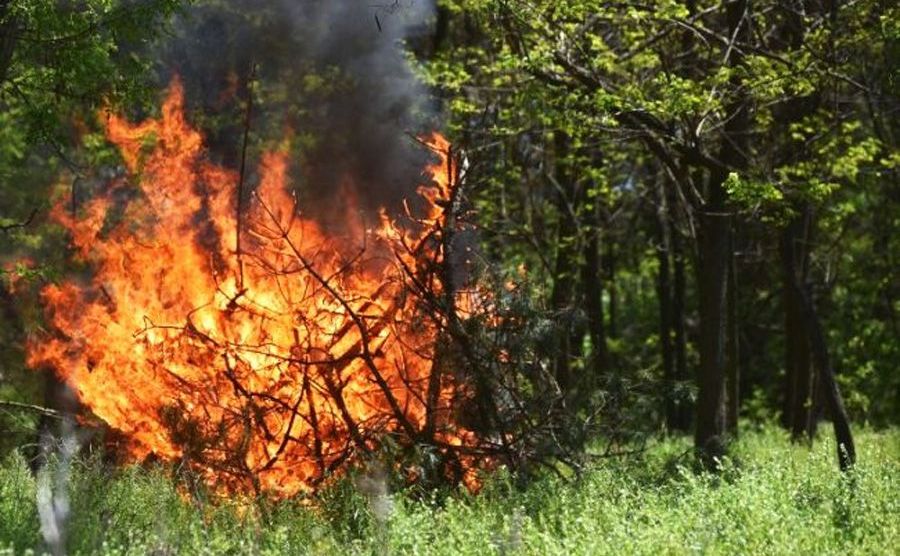 На Полтавщині — надзвичайний рівень пожежної небезпеки