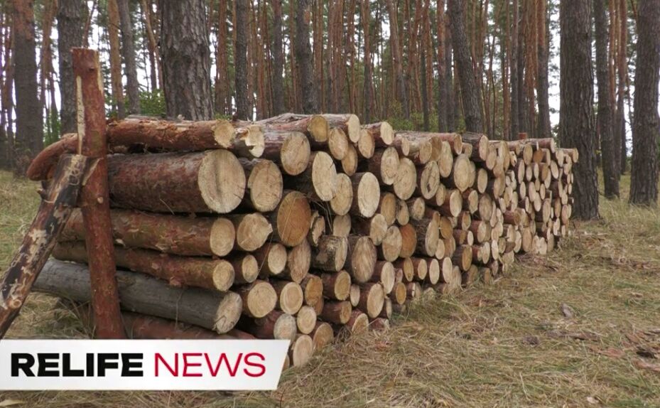 У лісгоспах — ажіотаж на дрова