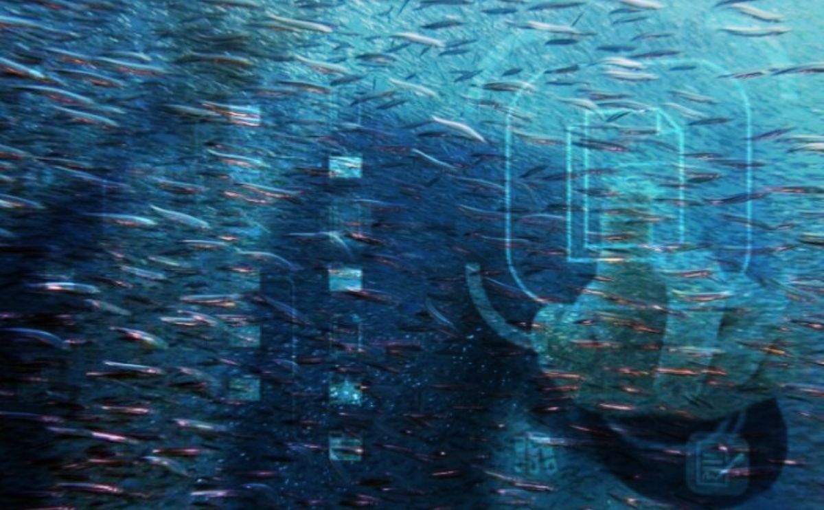 Що таке е-Риба і кому це потрібно