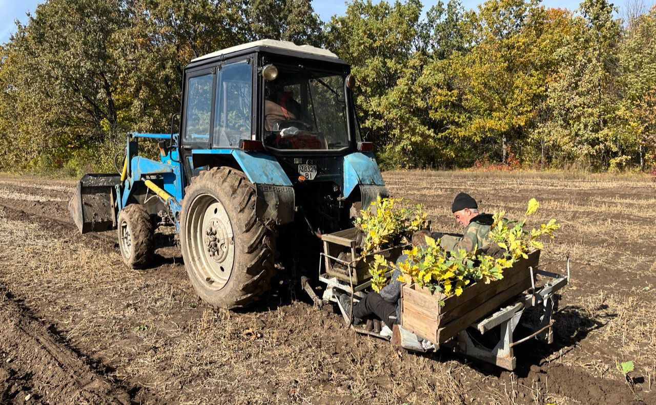 На Полтавщині садять ліс