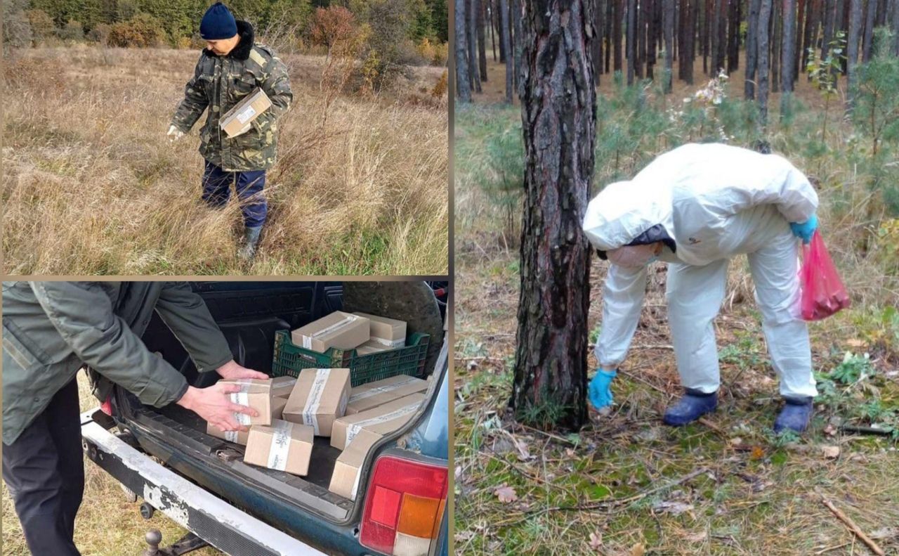 Кампанію з імунізації диких тварин від сказу завершено