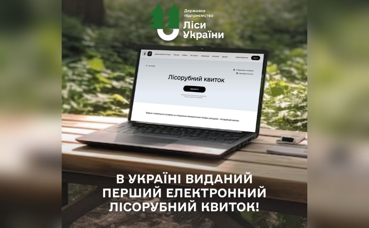 В Україні впроваджують лісорубний квиток