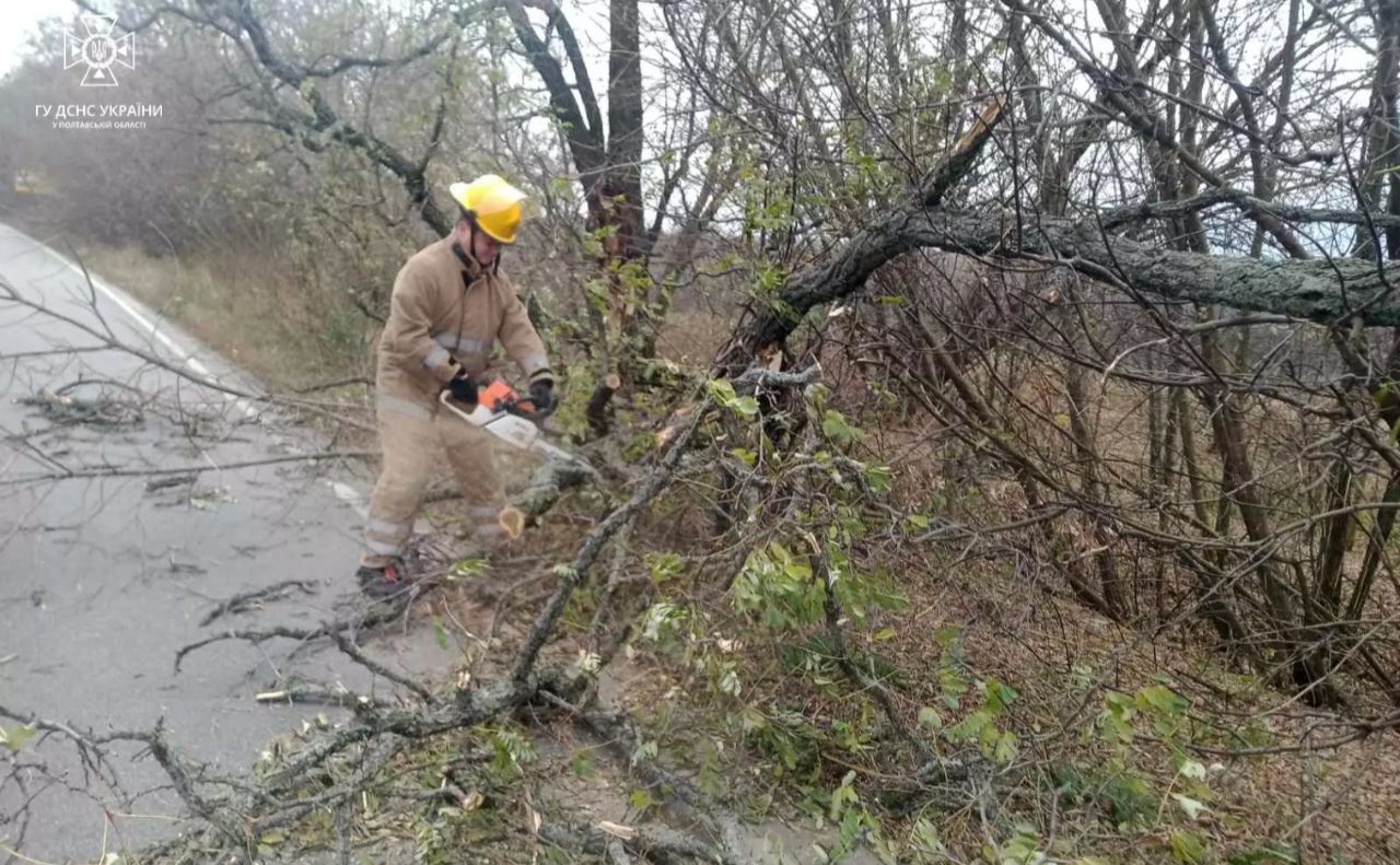 Наслідки негоди: загиблі й травмовані люди, повалені дерева, зірвані дахи. ОНОВЛЕНО