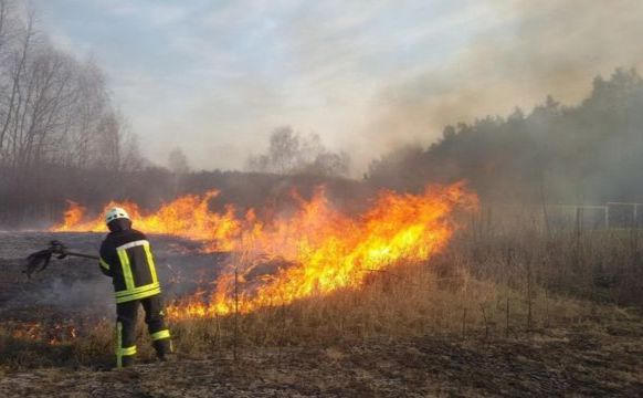 За десять місяців у Решетилівській громаді сталося 34 пожежі