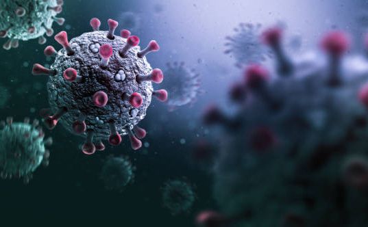В Україні зареєстровано перший випадок нового варіанту коронавірусу «Пірола»