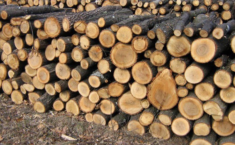 У кожному лісництві Полтавщини реалізовують дрова для населення