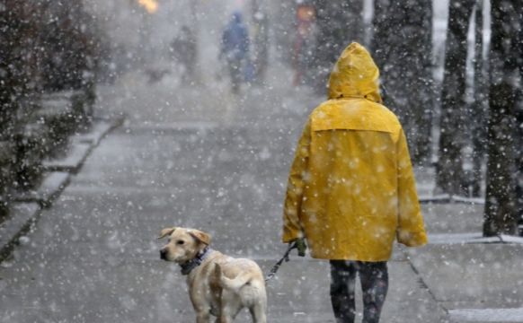 Мокрий сніг і ожеледиця: у ДСНС попередили про погіршення погодних умов на Полтавщині
