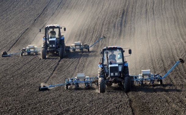 В Україні вже посіяно майже 5,8 млн га озимих культур