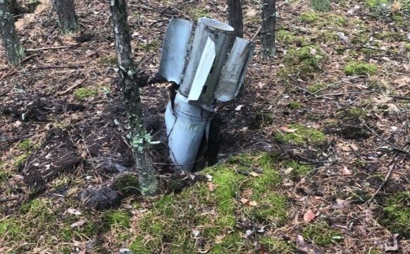 170 тис. га лісів потребують розмінування