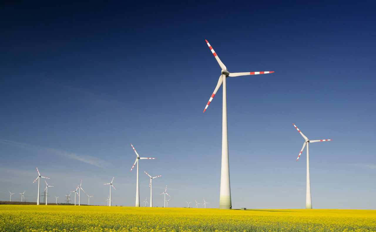 Найпотужнішу вітрову електростанцію в Україні планують збудувати на Полтавщині
