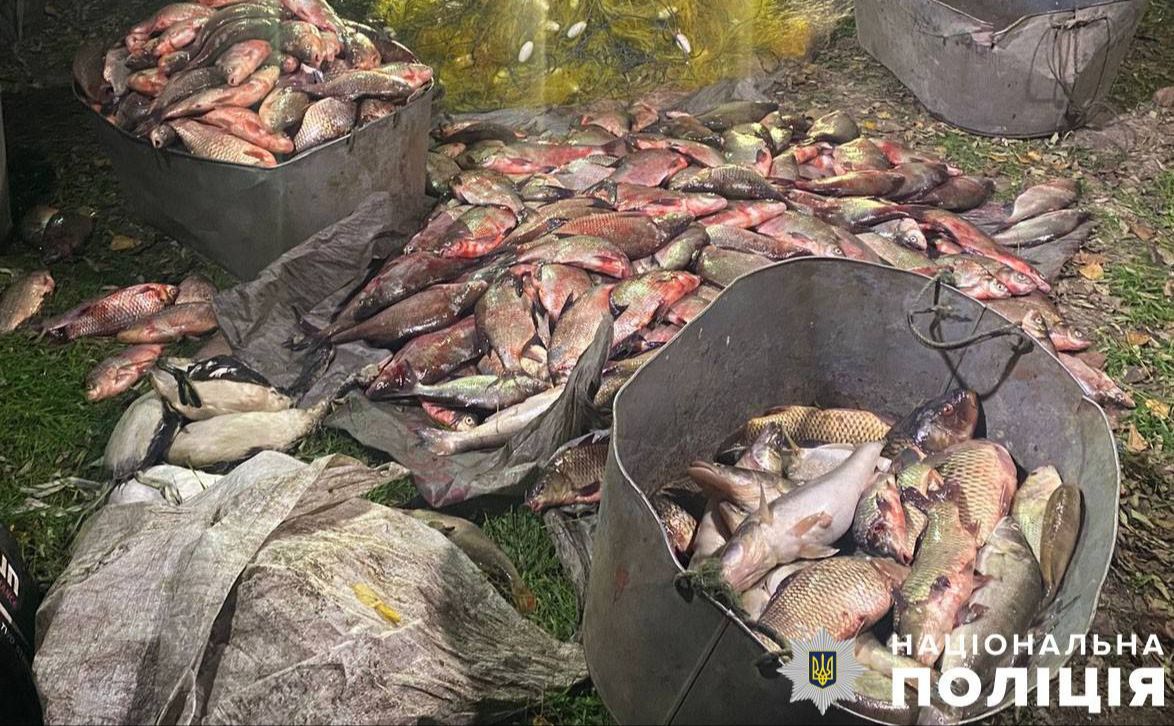 На Полтавщині судитимуть рибалок за улов на майже 5 мільйонів гривень