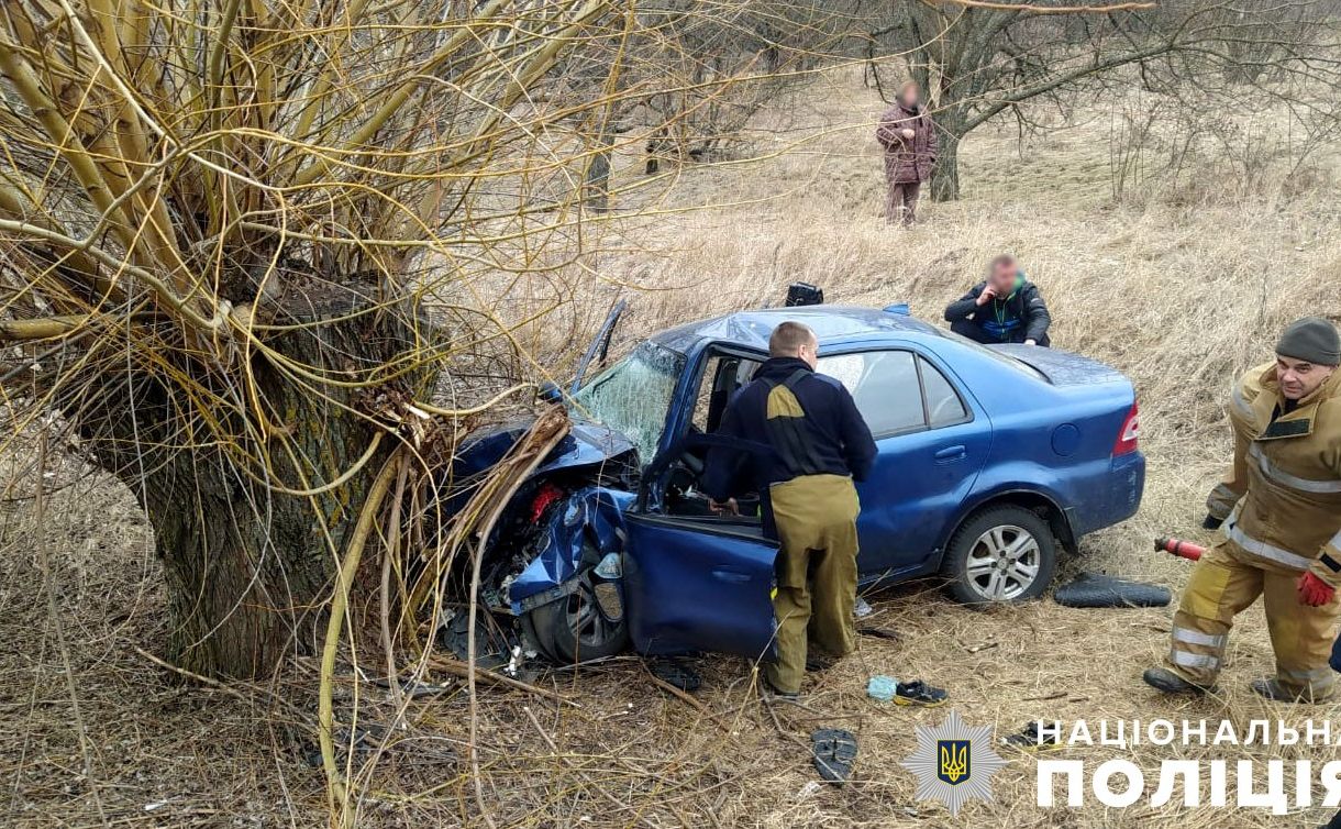 У М’якеньківці автівка врізалась в дерево