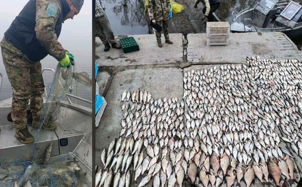 Ловили рибу й завдали шкоди… на 6,5 мільйонів