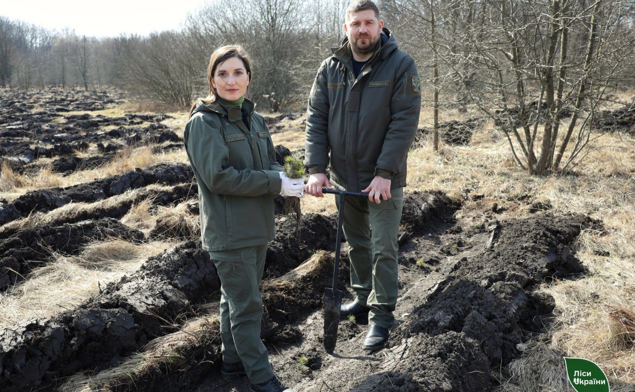 У Всесвітній день лісів на Полтавщині заклали новий ліс - Решетилівщина.UA