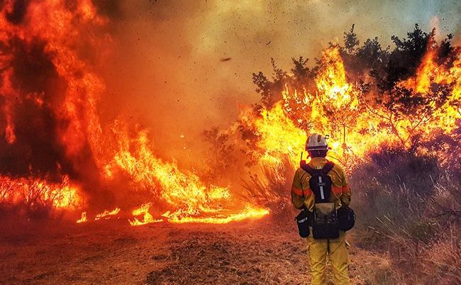 Кількість пожеж в екосистемах цьогоріч зросла на 75 відсотків