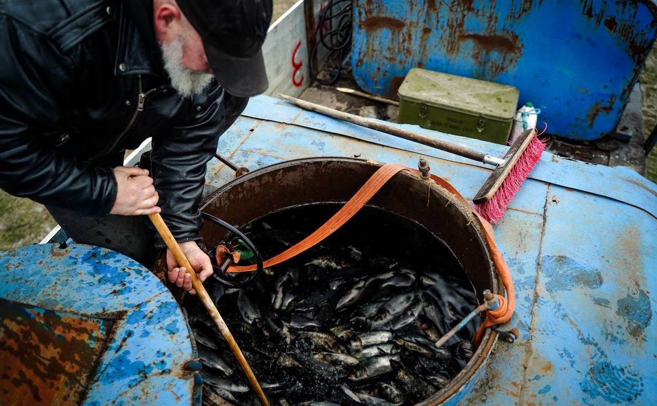 У Дніпро випустили майже 5 тонн риби