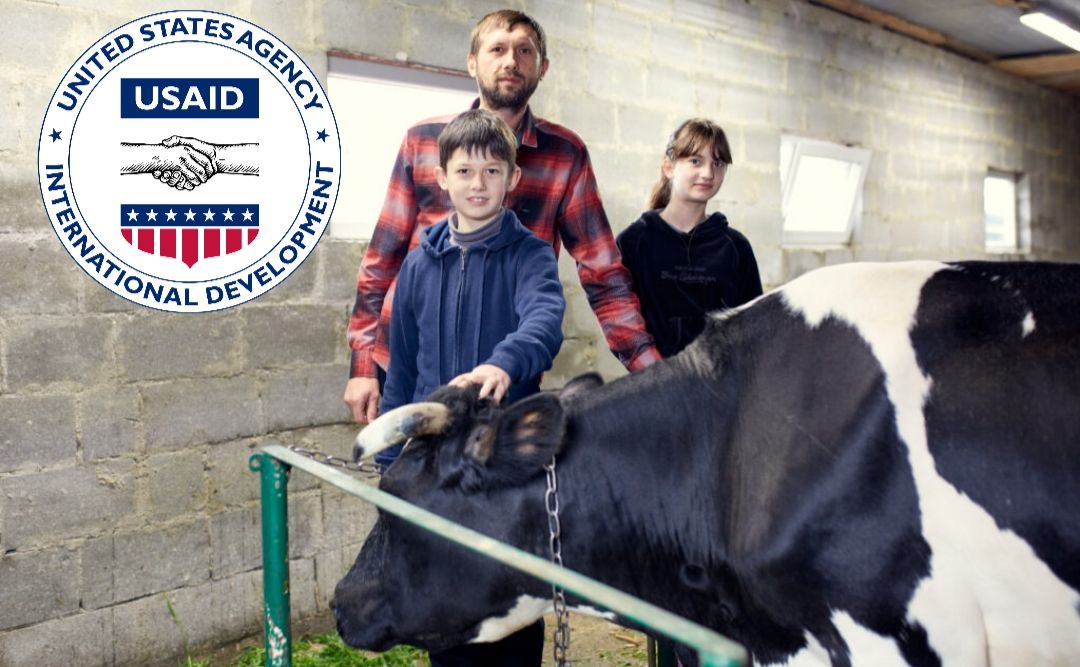 USAID надасть допомогу сімейним молочним фермам на Полтавщині