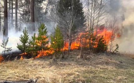 Лісівники закликають дотримуватися правил пожежної поведінки