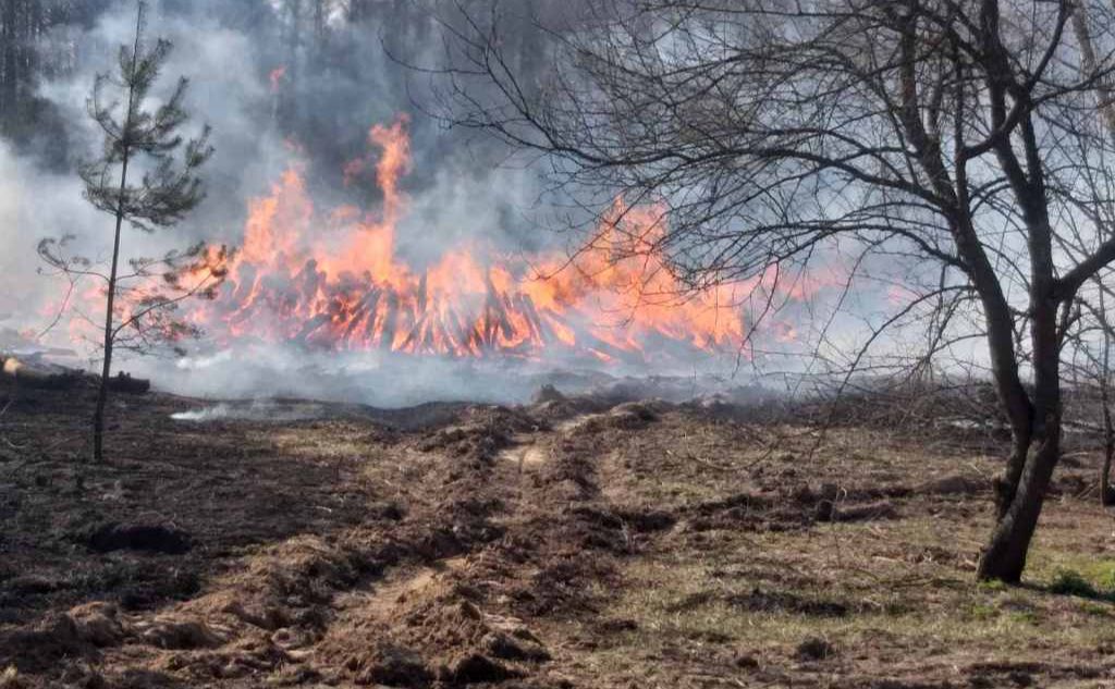 У лісах Полтавщини оголосили найвищий рівень пожежної небезпеки