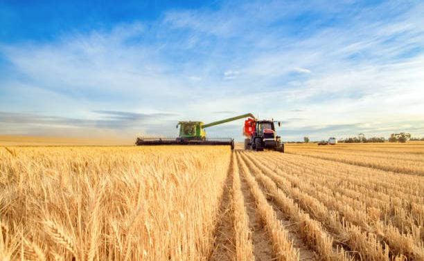 Аграрії планують зібрати 74 млн тонн урожаю