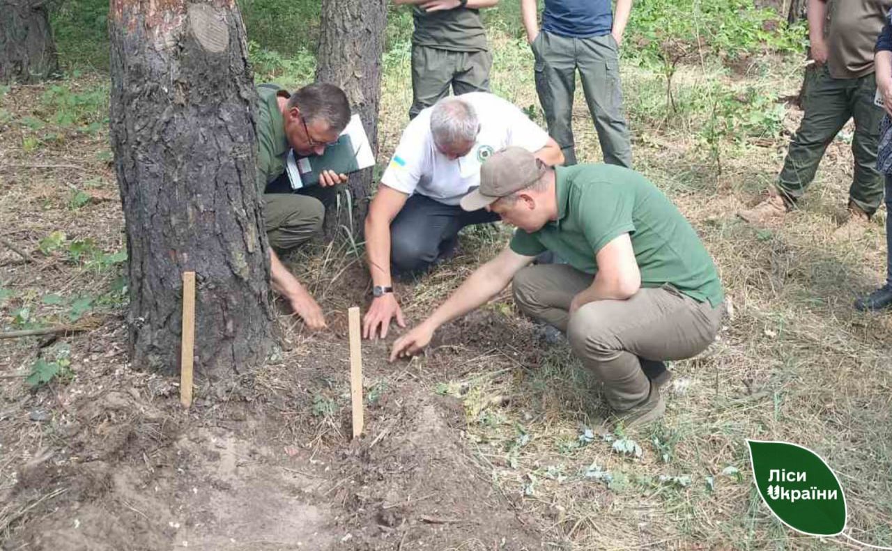 На Полтавщині лісівники вдосконалили навички захисту лісу від шкідників