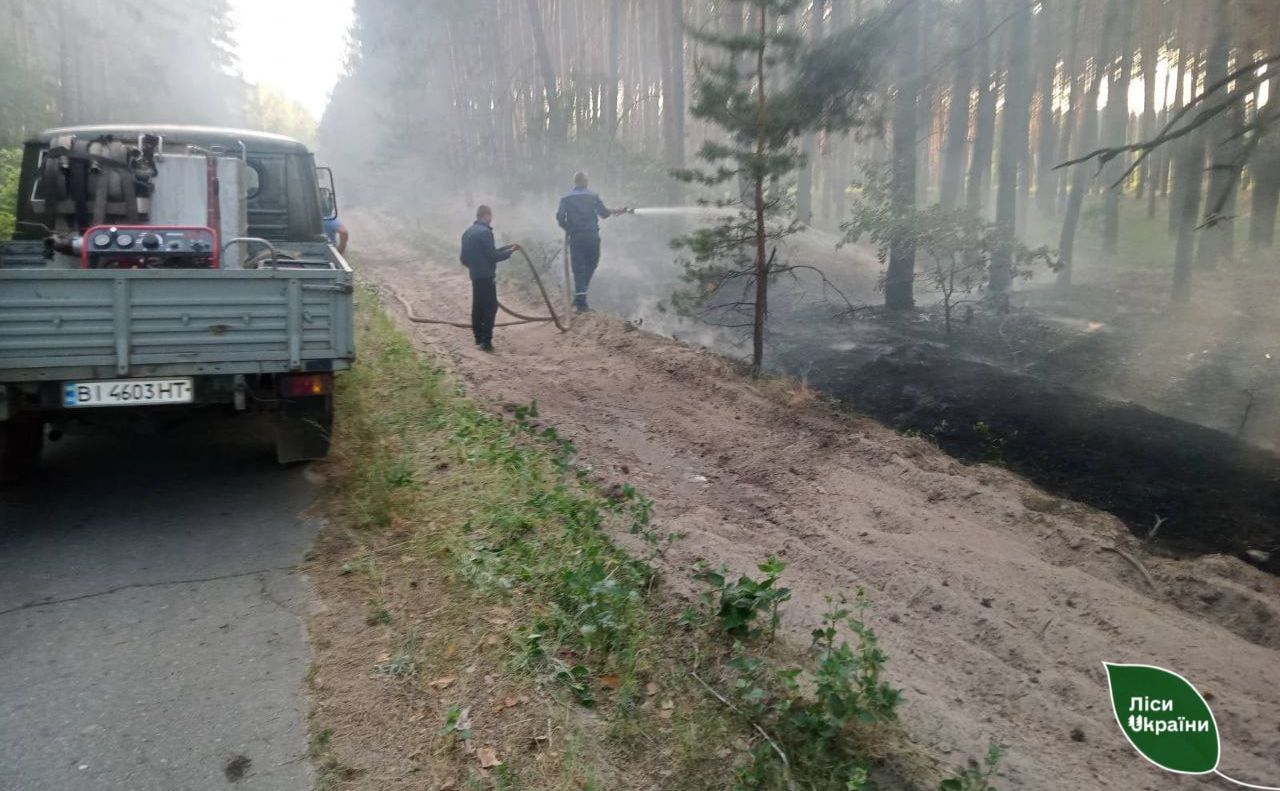 У лісах Полтавщини оголошено найвищий рівень пожежної небезпеки