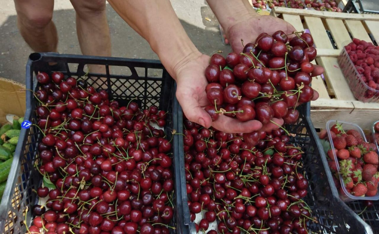 Українські садівники почали продавати черешню нового врожаю