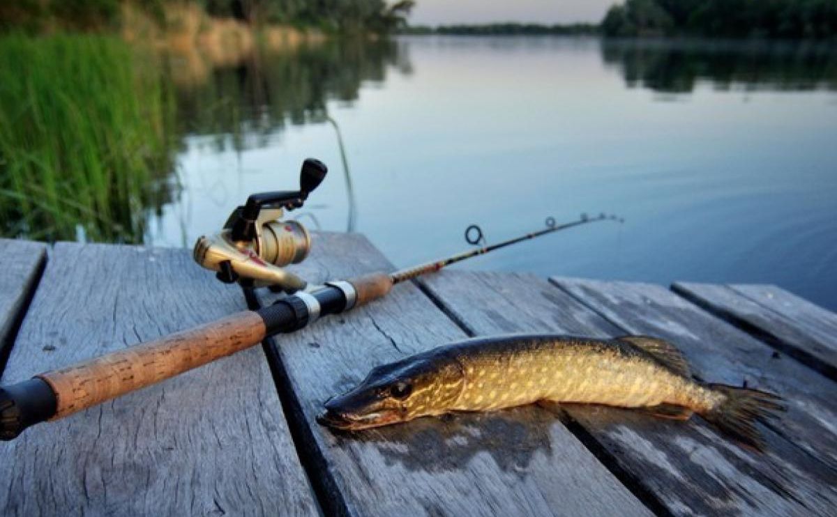 Відсьогодні на Полтавщині можна ловити рибу